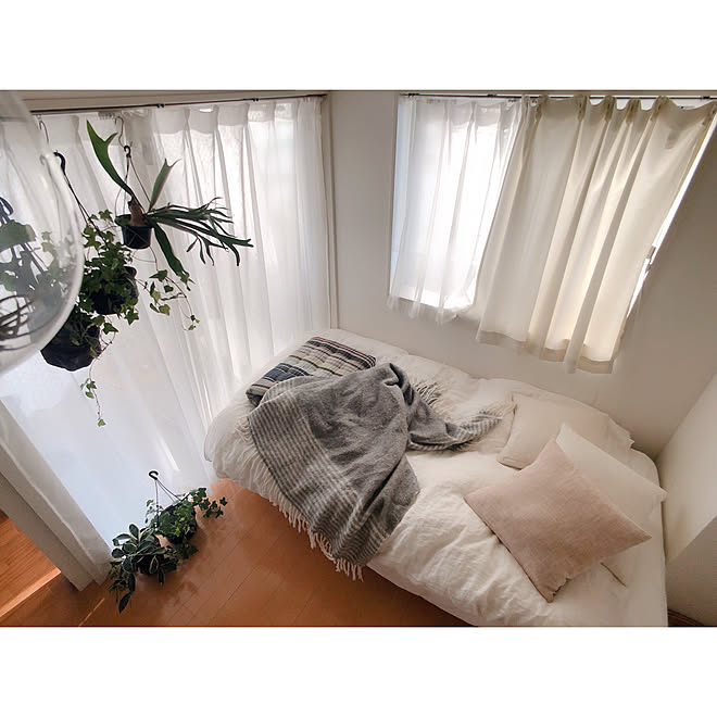 窓の大きい部屋 窓の多い部屋 観葉植物のある暮らし ハンギンググリーン 一人暮らしインテリア などのインテリア実例 19 12 18 22 50 01 Roomclip ルームクリップ 窓の大きい部屋 窓の多い部屋 観葉植物のある暮らし ハンギンググリーン 一人暮らしインテリア などのインテリア実例 19 12 18 22 50 01 Roomclip ルームクリップ