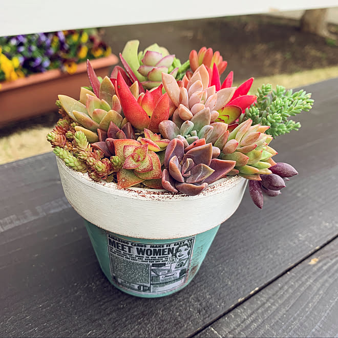 寄せ植え Diy 多肉植物 セダム リメ鉢 などのインテリア実例 22 04 01 43 57 Roomclip ルームクリップ