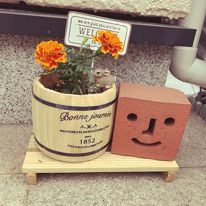 スマイルレンガ マリーゴールド セリア ガーデンピック 玄関 入り口のインテリア実例 19 06 09 14 46 47 Roomclip ルームクリップ