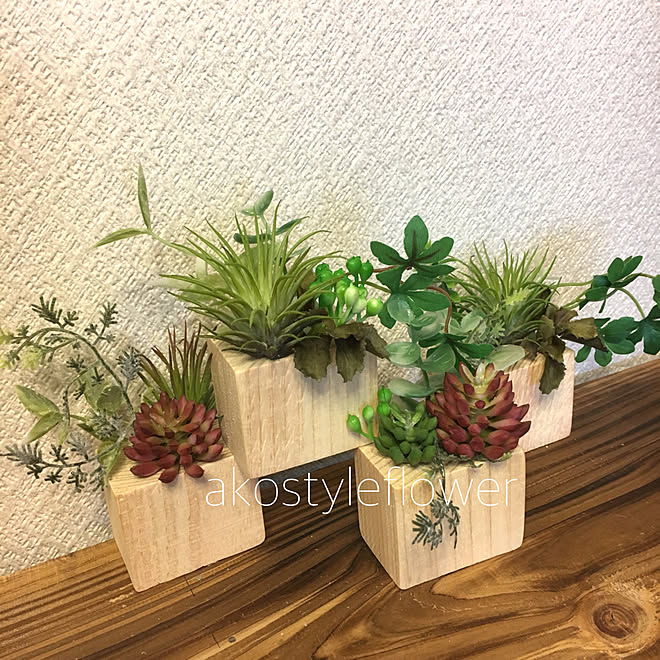 棚 寄せ植え 多肉植物 エアープランツ プチプラ雑貨 などのインテリア実例 18 05 07 12 38 39 Roomclip ルームクリップ