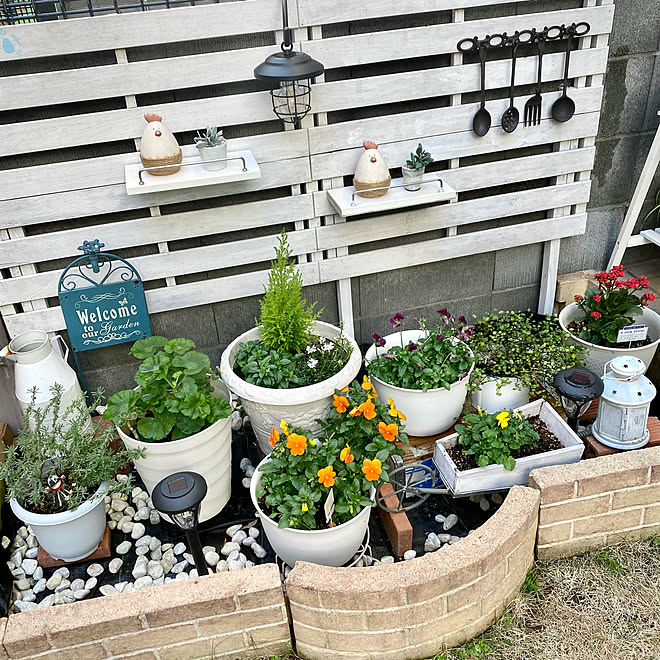 花壇の棚ガーデンオブジェ 良いね コメント有難う いつも優しいコメント有難うございます マンション一階角部屋庭付きのインテリア実例 21 12 29 15 22 18 Roomclip ルームクリップ