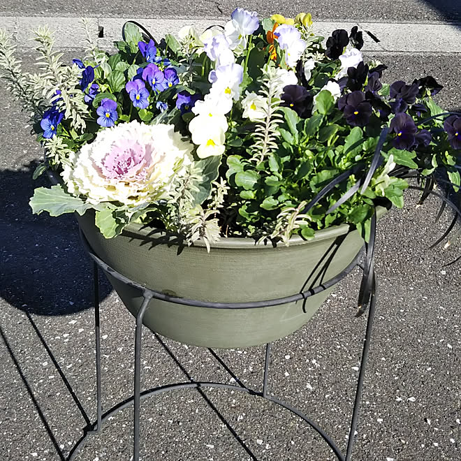 玄関/入り口/カフェ風/寄せ植え/男前/観葉植物...などのインテリア実例 - 2019-11-22 21:50:17