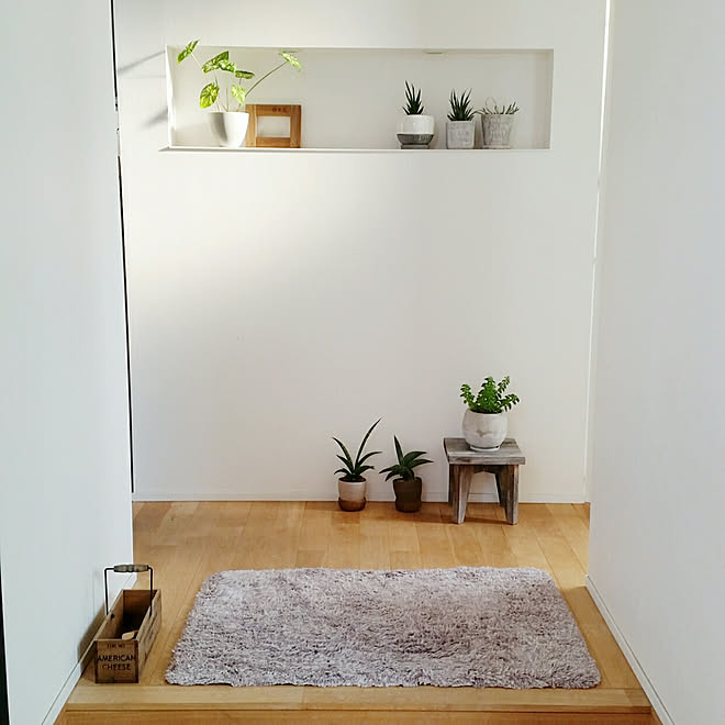 玄関/入り口/観葉植物/ニッチ/グリーンのある暮らし/玄関&hellip;などのインテリア実例 20181024 081036