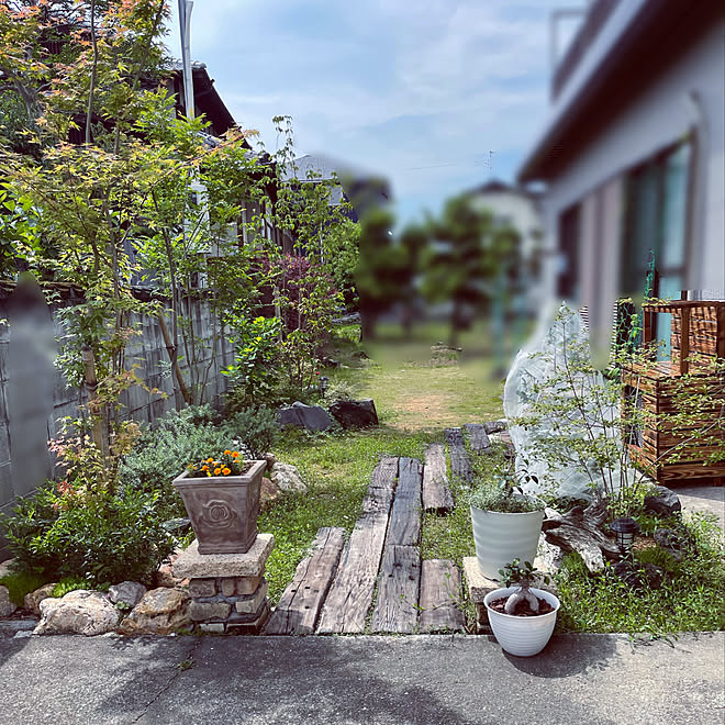 庭 ガーデニング Diy 観葉植物 玄関 入り口のインテリア実例 22 06 01 15 08 53 Roomclip ルームクリップ