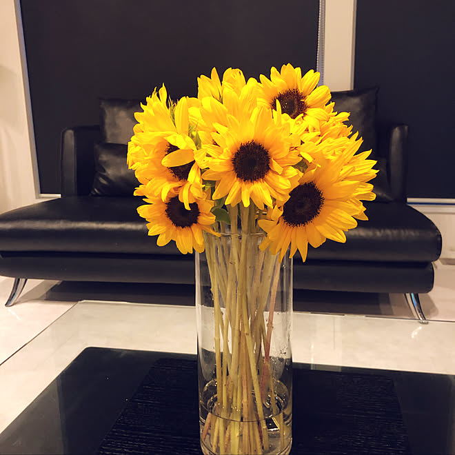 ひまわり ニトリ お花 モノトーン 土屋ホーム などのインテリア実例 19 06 05 03 37 Roomclip ルームクリップ ひまわり ニトリ お花 モノトーン 土屋ホーム などのインテリア実例 19 06 05 03 37 Roomclip ルームクリップ