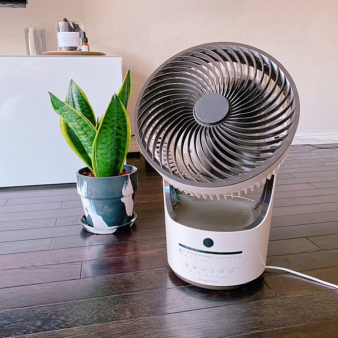 サーキュレーター Pieria 扇風機 サーキュレーター サンスベリア 部屋全体のインテリア実例 08 02 11 41 49 Roomclip ルームクリップ
