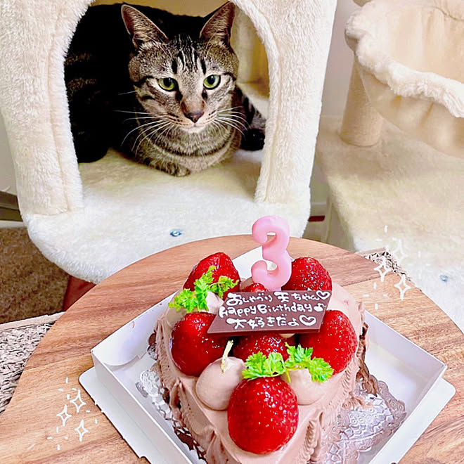 バースデーケーキ お誕生日おめでとう 子どもと暮らす 心地よい暮らし ねこのいる暮らし などのインテリア実例 22 08 15 10 13 43 Roomclip ルームクリップ