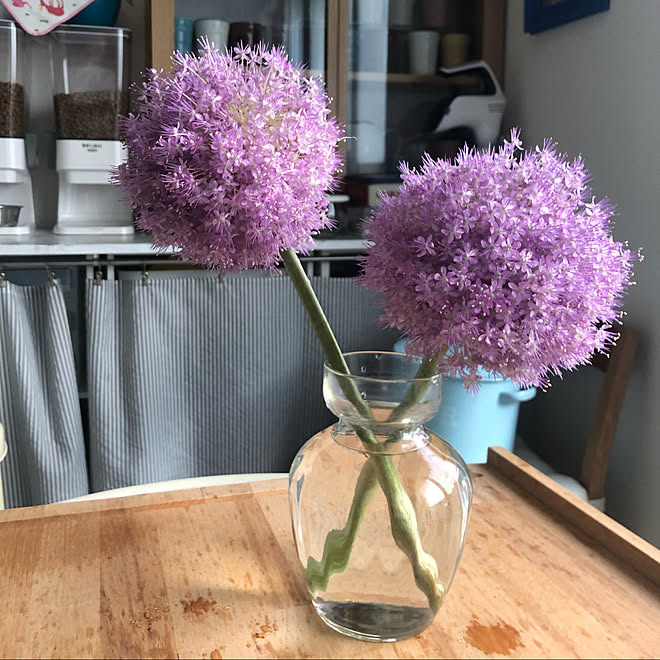 切り花がある暮らし 雨上がりの気持ちいい朝 大好きな雑貨に囲まれて 6月 Diy などのインテリア実例 06 11 02 41 Roomclip ルームクリップ
