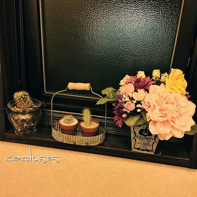 バス トイレ ちょこっとハロウィン 造花 サボテン 100均のインテリア実例 14 10 23 18 35 48 Roomclip ルームクリップ バス トイレ ちょこっとハロウィン 造花 サボテン 100均のインテリア実例 14 10 23 18 35 48 Roomclip ルームクリップ