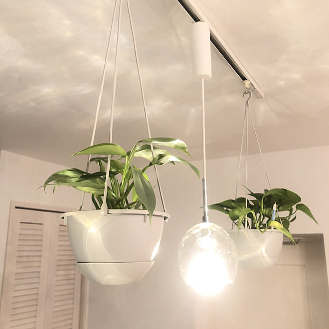 シルバーメタル/観葉植物のある暮らし/心地よい暮らし/ハンギンググリーン/吊り鉢...などのインテリア実例 - 2022-06-11 20:37:13 | RoomClip(ルームクリップ) シルバーメタル/観葉植物のある暮らし/心地よい暮らし/ハンギンググリーン/吊り鉢...などのインテリア実例 - 2022-06-11 20:37:13 | RoomClip(ルームクリップ)