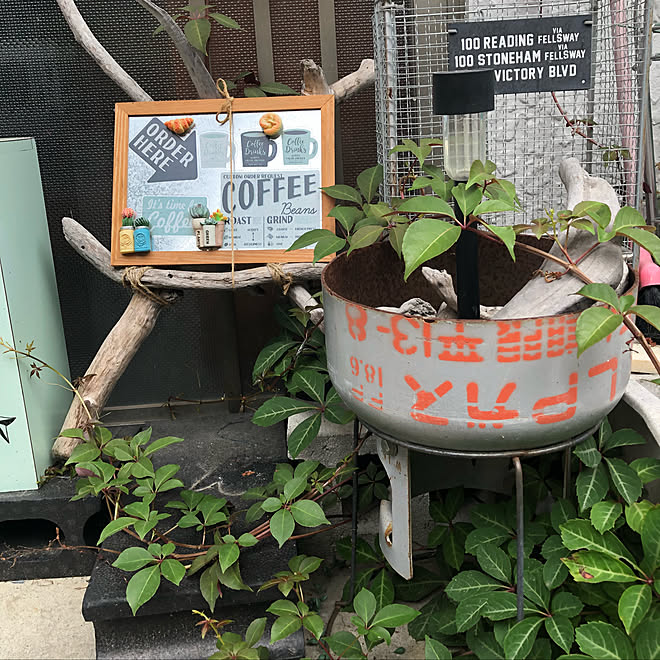 玄関 入り口 流木diy ガスボンベリメイク Seriaステッカー 手作り傘立て などのインテリア実例 18 06 11 07 25 08 Roomclip ルームクリップ