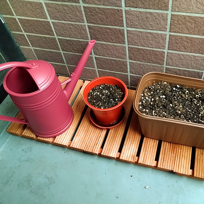 一人暮らし ベランダ菜園 1k 都内一人暮らし ベランダガーデニング などのインテリア実例 06 09 16 49 18 Roomclip ルームクリップ 一人暮らし ベランダ菜園 1k 都内一人暮らし ベランダガーデニング などのインテリア実例 06 09 16 49 18 Roomclip ルームクリップ
