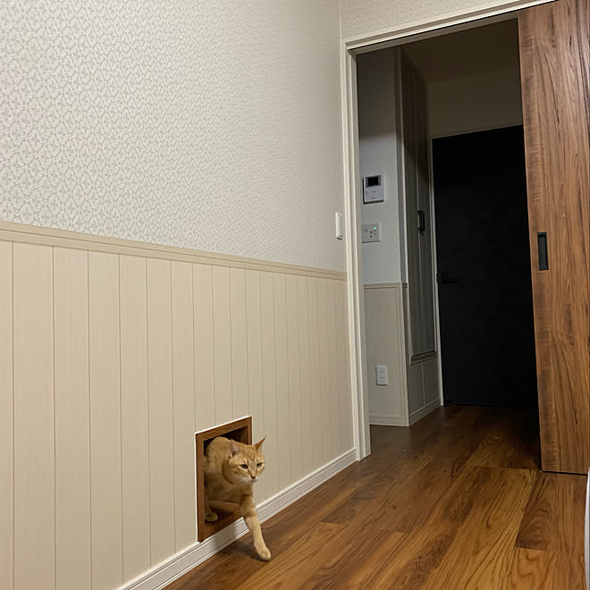 猫用通路 猫と暮らす リリカラ壁紙 ねこと暮らす ねこのいる暮らし などのインテリア実例 22 02 28 00 21 12 Roomclip ルームクリップ 猫用通路 猫と暮らす リリカラ壁紙 ねこと暮らす ねこのいる暮らし などのインテリア実例 22 02 28 00 21 12 Roomclip ルームクリップ