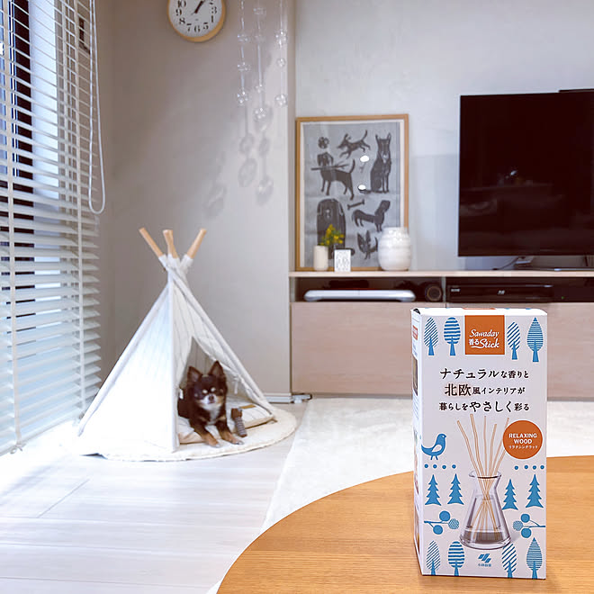 Teepee Tent 犬と暮らす スティック芳香剤 インテリアフレグランス Sawaday などのインテリア実例 03 10 13 19 06 Roomclip ルームクリップ
