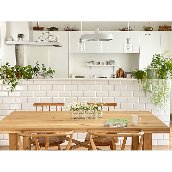 タイル張りキッチン ナチュラルインテリア 北欧インテリア グリーンのある暮らし 暮らしを楽しむ などのインテリア実例 21 06 22 15 44 18 Roomclip ルームクリップ