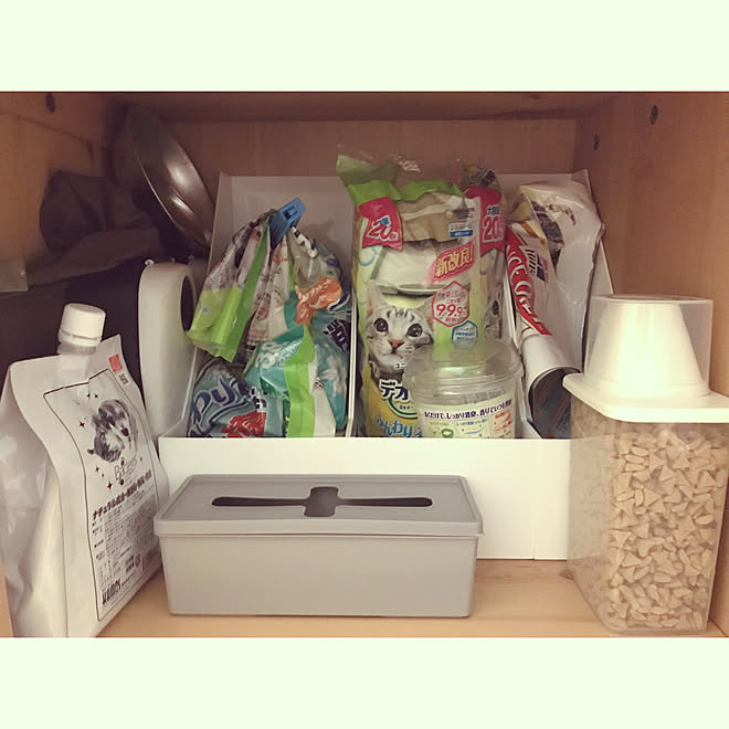 ペットシーツ収納 猫と暮らす ねこのいる日常 ペットと暮らす家 猫グッズ収納 などのインテリア実例 05 29 21 57 02 Roomclip ルームクリップ
