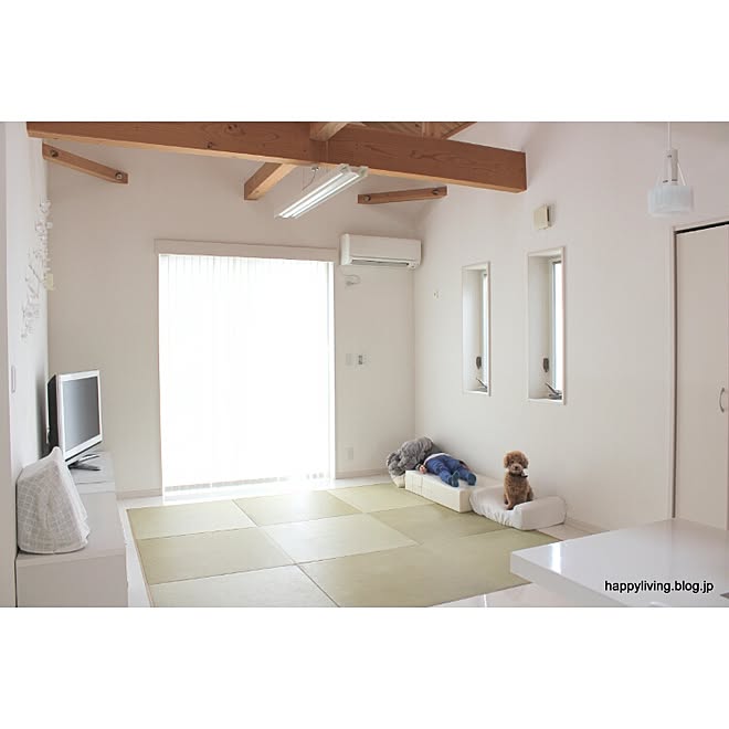 リビング 平屋 畳コーナー カインズ 犬と暮らす などのインテリア実例 17 04 01 19 37 33 Roomclip ルームクリップ
