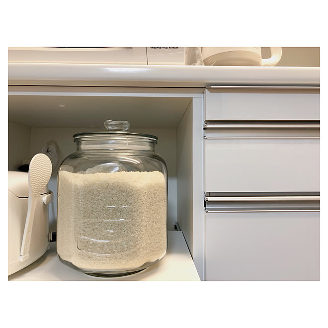 キッチン 生活感なくしたい オシャレに憧れる 米びつ瓶 米びつ など キッチン 生活感なくしたい オシャレに憧れる 米びつ瓶 米びつ など