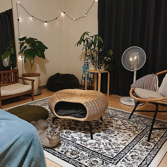 扇風機/一人暮らし/1R 一人暮らし/賃貸インテリア/観葉植物&hellip;などのインテリア実例 20190602 202710