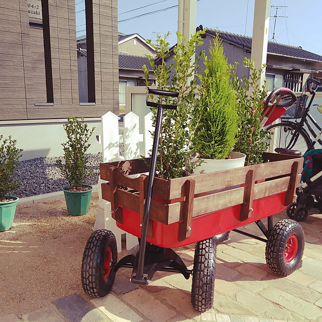 部屋全体 キャリーカート ゴールドクレスト 西洋ツゲ いいね ありがとうございます などのインテリア実例 17 11 06 10 14 06 Roomclip ルームクリップ