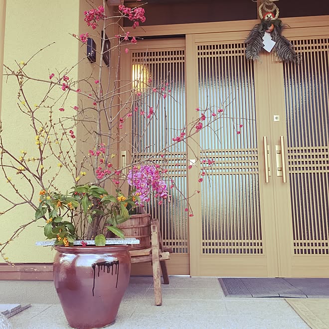 玄関 入り口 まゆみ 花木 しめ縄飾り 生け花自己流 ロウ梅 などのインテリア実例 16 12 31 21 59 37 Roomclip ルームクリップ