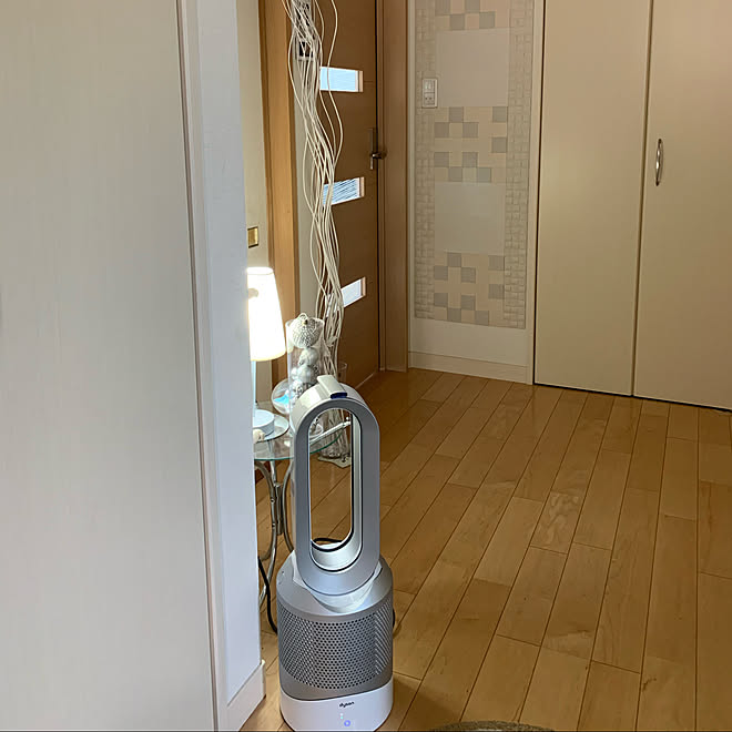 ダイソンホット クール ダイソン 空気清浄機 扇風機 サーキュレーター 玄関 入り口のインテリア実例 08 04 15 22 19 Roomclip ルームクリップ