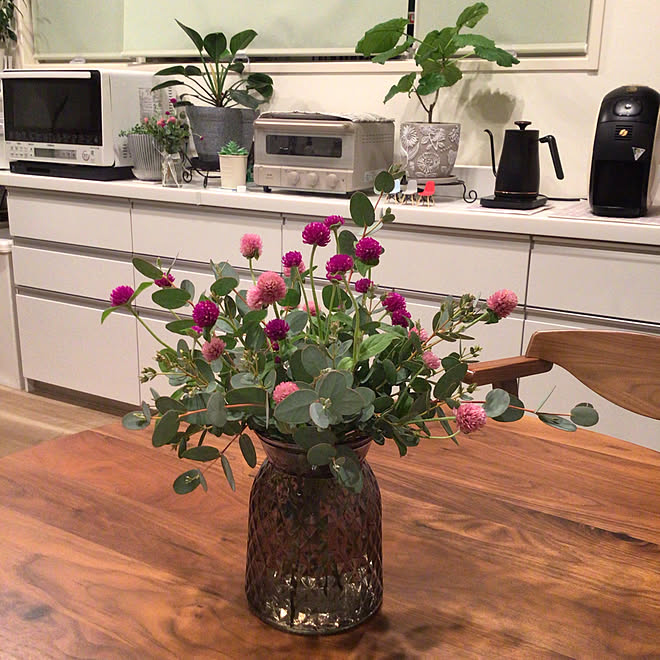 観葉植物のある暮らし 庭の花を飾る ダイソーのフラワーベース ウンベラータ 窓辺 などのインテリア実例 22 08 26 22 11 15 Roomclip ルームクリップ
