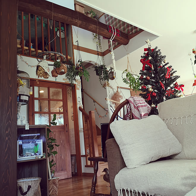 部屋全体/家づくり/観葉植物/ニトリクリスマスツリー/ペットと暮らす家...などのインテリア実例 - 2019-11-15 08:45:48