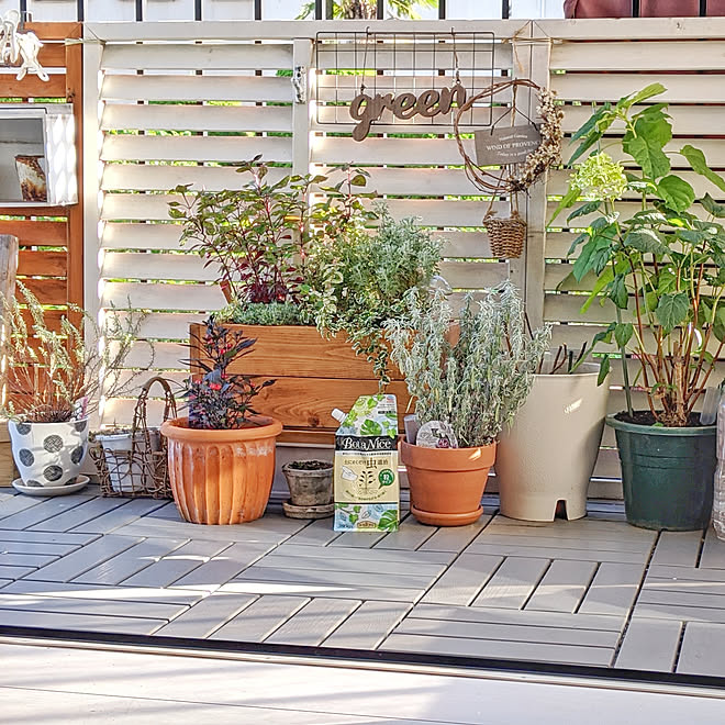 玄関 入り口 観葉植物 ガーデニング 多肉植物 植物のある暮らし などのインテリア実例 09 08 16 02 16 Roomclip ルームクリップ