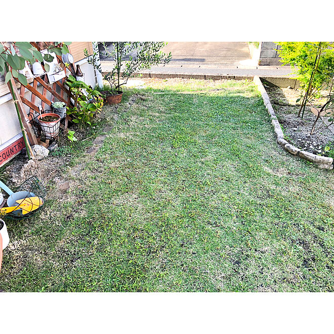 庭仕事 草抜き 庭作り 芝生 芝生の庭 などのインテリア実例 09 21 22 36 11 Roomclip ルームクリップ