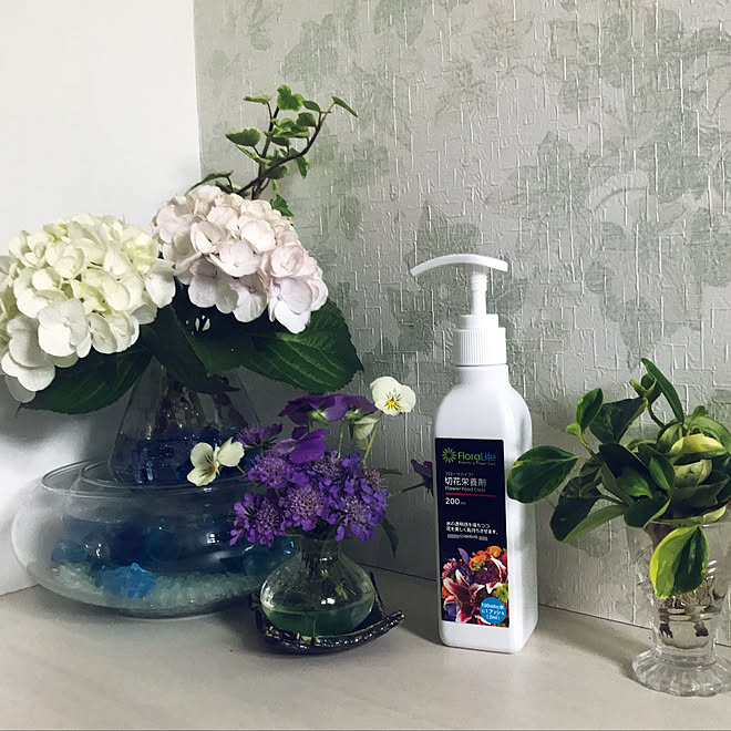 ビオラの季節 紫陽花好き 紫陽花 切花栄養剤 記念に一枚 などのインテリア実例 19 06 23 14 53 11 Roomclip ルームクリップ