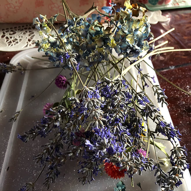 部屋全体 シリカゲルドライフラワー クラフト ドライフラワー ハンドメイド などのインテリア実例 18 07 10 18 21 51 Roomclip ルームクリップ