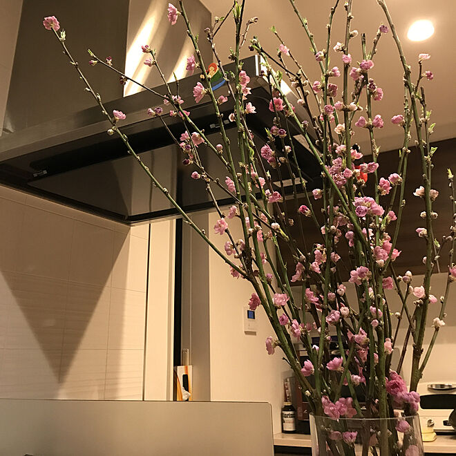 花のある生活 花のある暮らし 桃の花飾りました 桃の節句 リビングのインテリア実例 19 03 02 22 08 30 Roomclip ルームクリップ