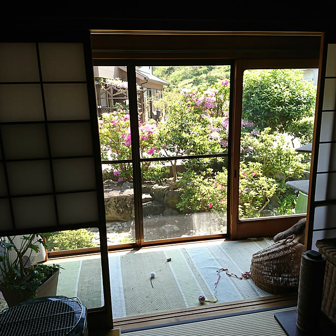 部屋全体 田舎暮らし 日本家屋 猫と暮らす 縁側廊下 などのインテリア実例 18 04 21 10 17 Roomclip ルームクリップ 部屋全体 田舎暮らし 日本家屋 猫と暮らす 縁側廊下 などのインテリア実例 18 04 21 10 17 Roomclip ルームクリップ