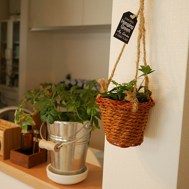 部屋全体 かご大好き ハンギング ハンギンググリーン 3coins などのインテリア実例 18 10 09 08 34 Roomclip ルームクリップ