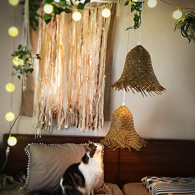 コットンボールライト コレ Diyしたよ キャンドゥ 麦わら帽子 Boho などのインテリア実例 21 05 08 22 11 12 Roomclip ルームクリップ