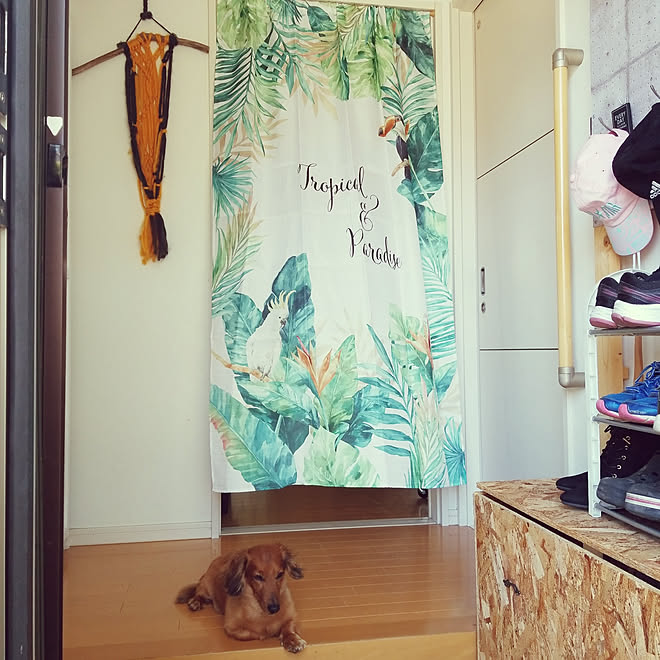 玄関 入り口 つっぱり棒 ニトリのパーテーションのインテリア実例 05 08 11 11 54 Roomclip ルームクリップ