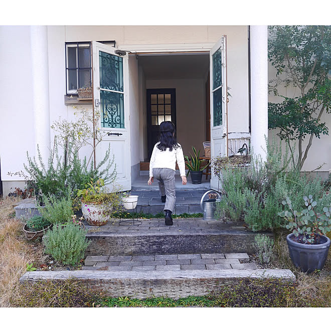 玄関前の階段 玄関前スペース 玄関前ガーデニング 玄関前 玄関前 ガーデニング などのインテリア実例 19 12 15 19 14 37 Roomclip ルームクリップ