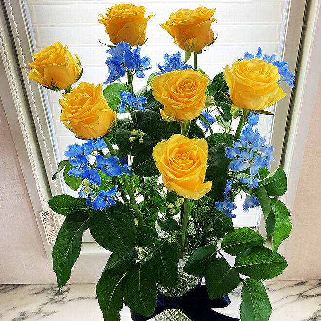 今日は父の日 バラ デルフィニウム 黄色の薔薇 お嫁ちゃんからの花束 などのインテリア実例 06 21 15 34 48 Roomclip ルームクリップ