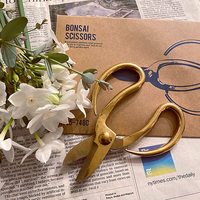 花鋏 水仙 Bonsai Scissors ダルトン 1969組 などのインテリア実例 11 22 21 03 47 Roomclip ルームクリップ