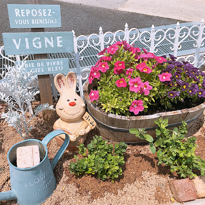 玄関 入り口 可愛いものだいすき ちいさいお庭 お庭の花 ガーデンピック などのインテリア実例 18 07 26 11 43 53 Roomclip ルームクリップ