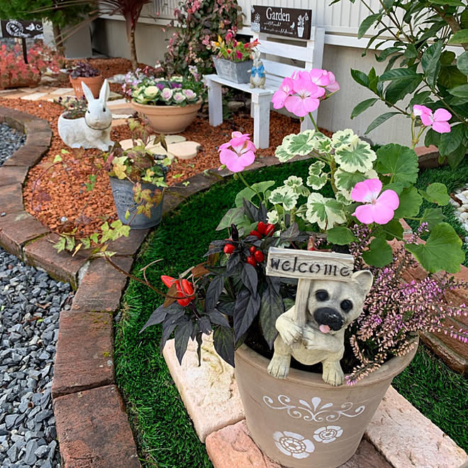 秋の花壇 ガーデニング オブジェ 寄せ植え 花壇 などのインテリア実例 21 11 23 11 49 41 Roomclip ルームクリップ