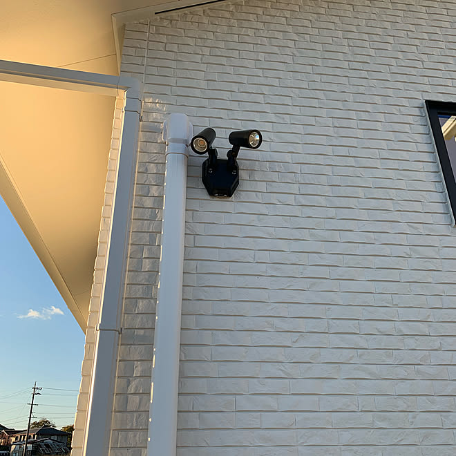 平屋 犬の家 犬と暮らす家 玄関 入り口のインテリア実例 19 12 09 02 40 19 Roomclip ルームクリップ