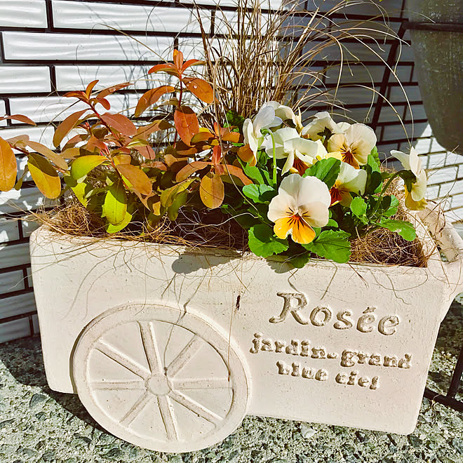 寄せ植え/キラテックタイル/パナソニックホームズ/花のある暮らし/玄関/入り口のインテリア実例 - 2019-11-14 09:52:29