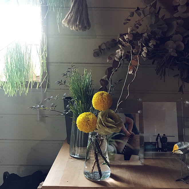 お正月 花を飾る 花のある暮らし 21 土間リビング などのインテリア実例 21 01 08 16 41 02 Roomclip ルームクリップ お正月 花を飾る 花のある暮らし 21 土間リビング などのインテリア実例 21 01 08 16 41 02 Roomclip ルームクリップ
