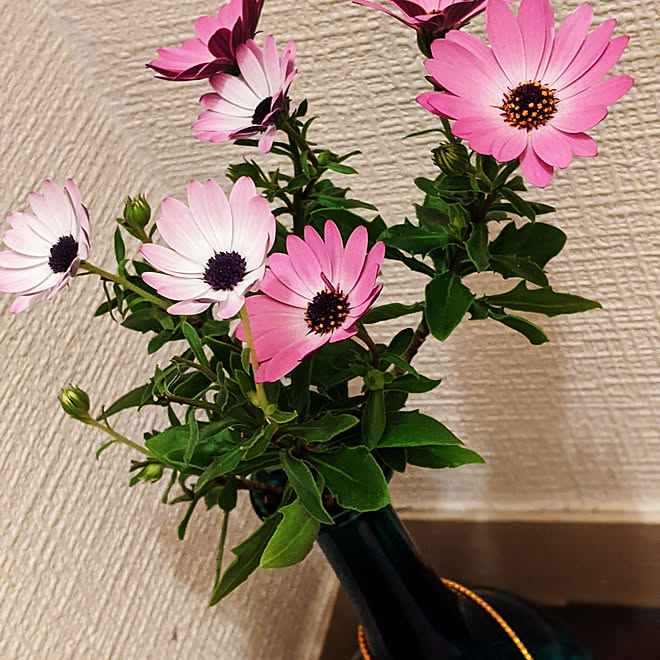 バス トイレ 風水 生花のある暮らしのインテリア実例 04 16 14 58 35 Roomclip ルームクリップ