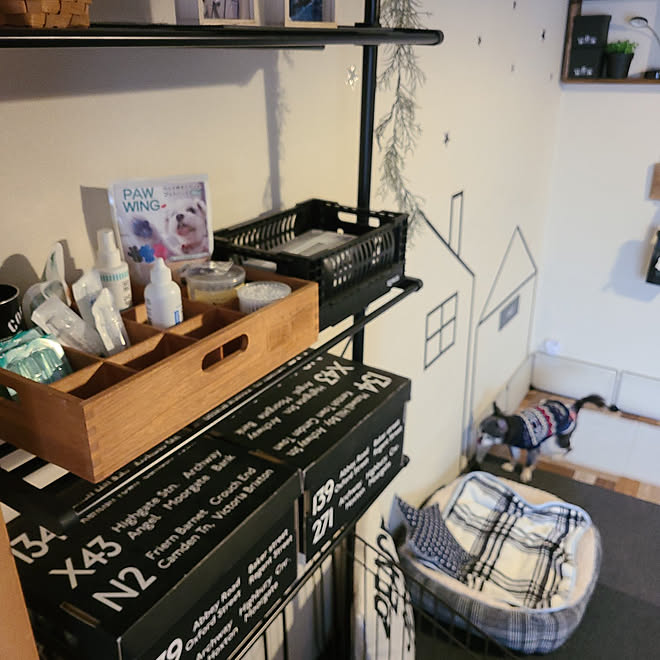 棚 木箱 湯川家具で買った木箱 ワンコグッズの収納 カッコいいもかわいいも好き などのインテリア実例 21 02 17 10 58 33 Roomclip ルームクリップ