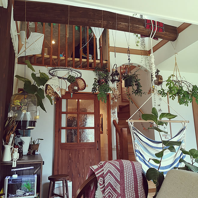 部屋全体 観葉植物 塗り壁 表し梁 ハンギンググリーン などのインテリア実例 03 23 15 30 Roomclip ルームクリップ 部屋全体 観葉植物 塗り壁 表し梁 ハンギンググリーン などのインテリア実例 03 23 15 30 Roomclip ルームクリップ