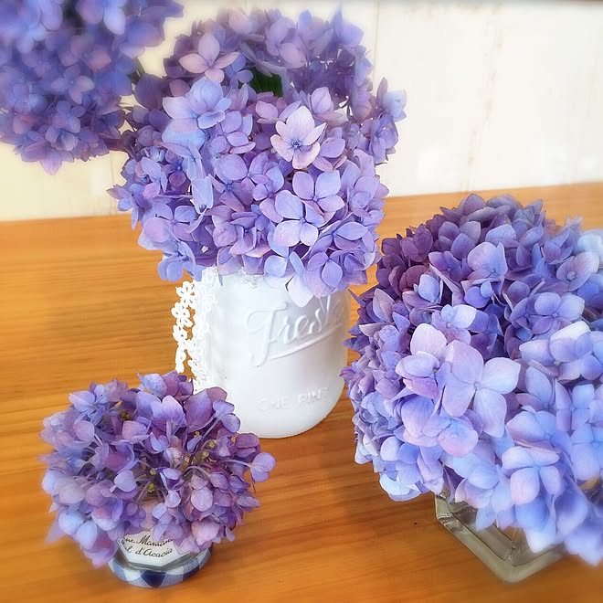 机/インスタやってます♪/インスタ BLUEVIOLET1316/salut!/紫陽花のインテリア実例 - 2015-06-16 17:15:55
