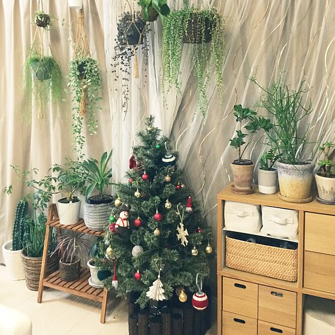 リビング クリスマスツリー No Green No Life 観葉植物 無印良品 などのインテリア実例 16 11 21 54 30 Roomclip ルームクリップ